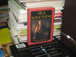 Síla soucítění