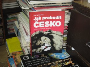 Jak probudit Česko: Recept na úspěšnou republiku