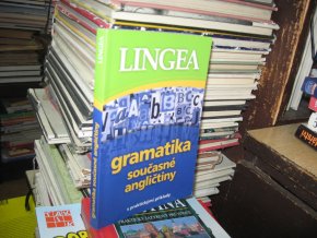 Gramatika současné angličtiny