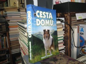 Cesta domů