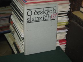 O českých slanzích