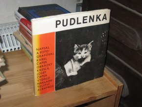 Pudlenka