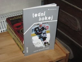 Lední hokej