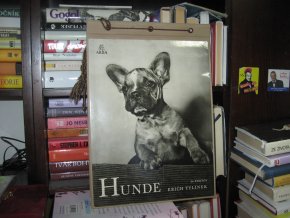 Hunde. 24 Photos