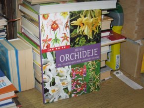 Orchideje: Vše, co potřebujete vědět o pěstování orchidejí