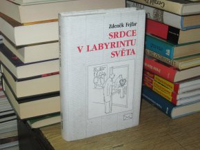 Srdce v labyrintu světa