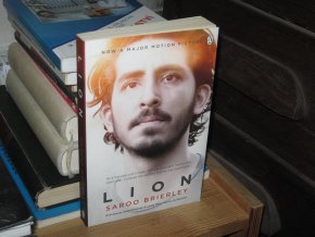 Lion: A long way home