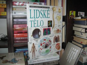 Lidské tělo