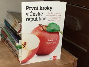 První kroky v České republice