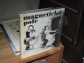 Magnetická pole