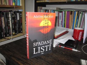 Spadané listí