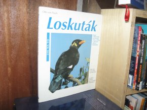 Loskuták