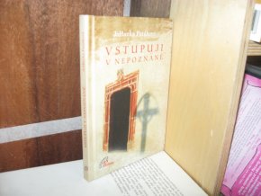 Vstupuji v nepoznané