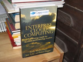 Enterprise Cloud Computing (anglicky)