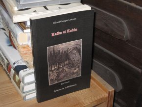 Kafka et Kubin: Les Essais