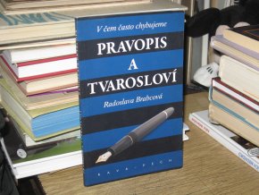 Pravopis a tvarosloví. V čem často chybujeme