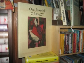 Ota Janeček. Obrazy