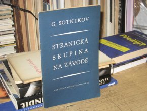 Stranická skupina na závodě