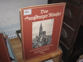 Der Strassburger Münster
