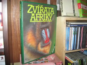 Zvířata Afriky