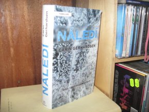 Náledí