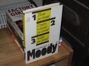 Život po životě. Úvahy o životě po životě. Světlo po životě