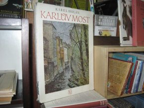 Karel Holan - Karlův most