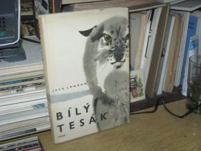 Bílý Tesák