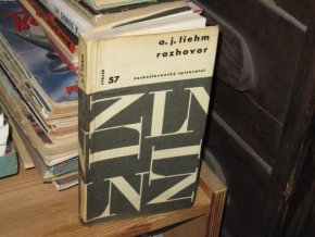 Rozhovor