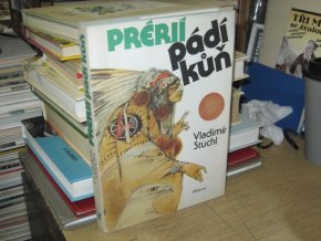Prérií pádí kůň