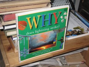 Why Does Lightning Strike?