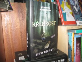 Křehkost