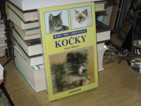Kočky: Rady pro chovatele