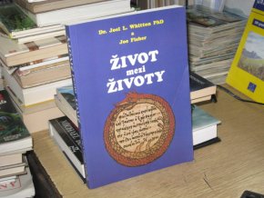 Život mezi životy