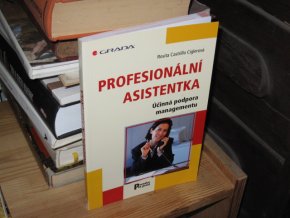 Profesionální asistentka: Účinná podpora managementu
