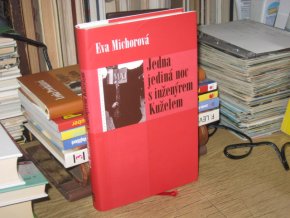 Jedna jediná noc s inženýrem Kuželem