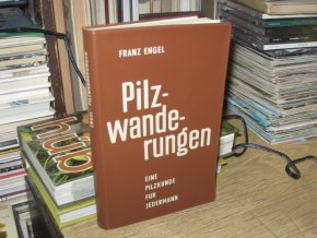 Pilzwanderungen