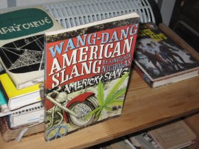 Wang Dang American Slang - Americký slang