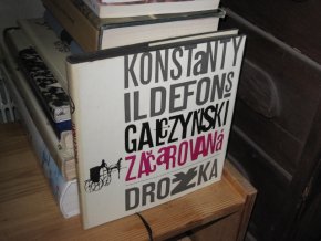 Začarovaná drožka