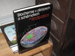 Biochemie v obrazech a schématech