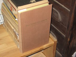 Přirozená ethika. Sexuální problém