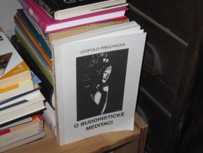 O buddhistické meditaci