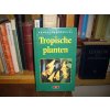 Tropische planten - Holandsky