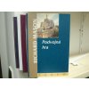 Podvojná hra - Thriller, intriky, život v Praze