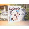 Dalmatin - jak na to