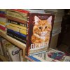Dewey