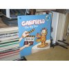 Garfield: The Big Star