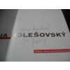 Ilja Holešovský: Tridsať rokov keramickej tvorby