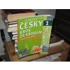 Česky krok za krokem 1: Pracovní sešit 1-12