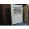 Pohledy na anglickou a americkou literaturu